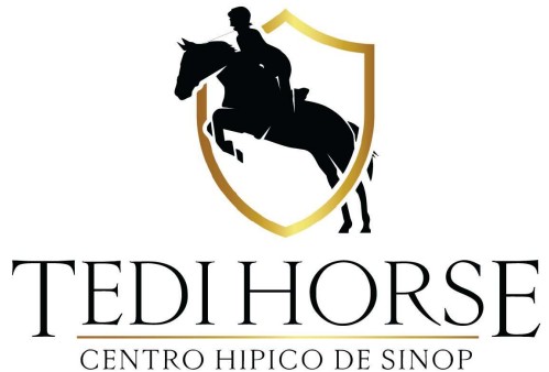 TEDI HORSE EQUOTERAPIA LTDA